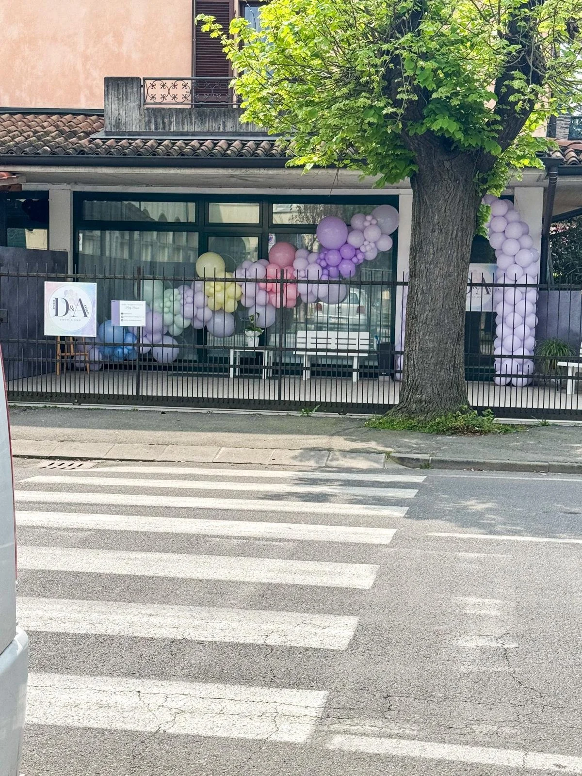 Ingresso di un edificio decorato con palloncini di vari colori, accanto a un grande albero con foglie verdi, vista da strada con strisce pedonali.